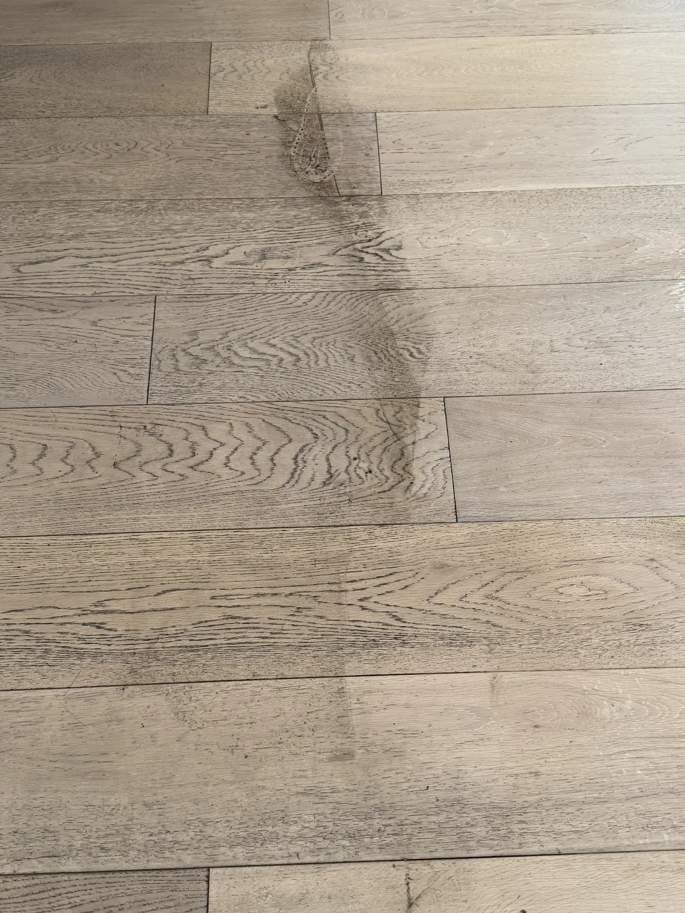 Finished hardwood floor showing a detailed cleaning comparison
