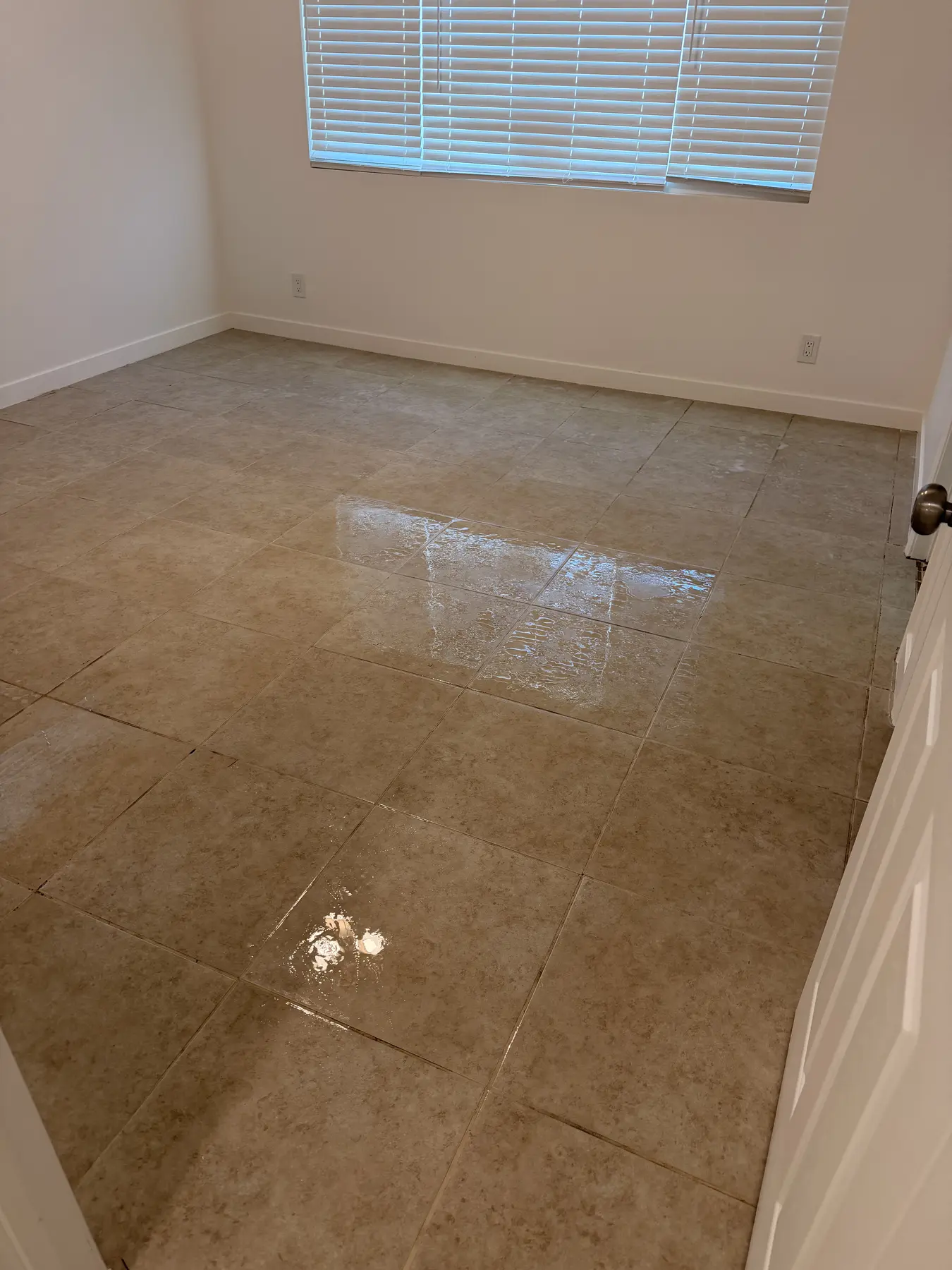 Restored tile surface reflecting light after extraction cleaning