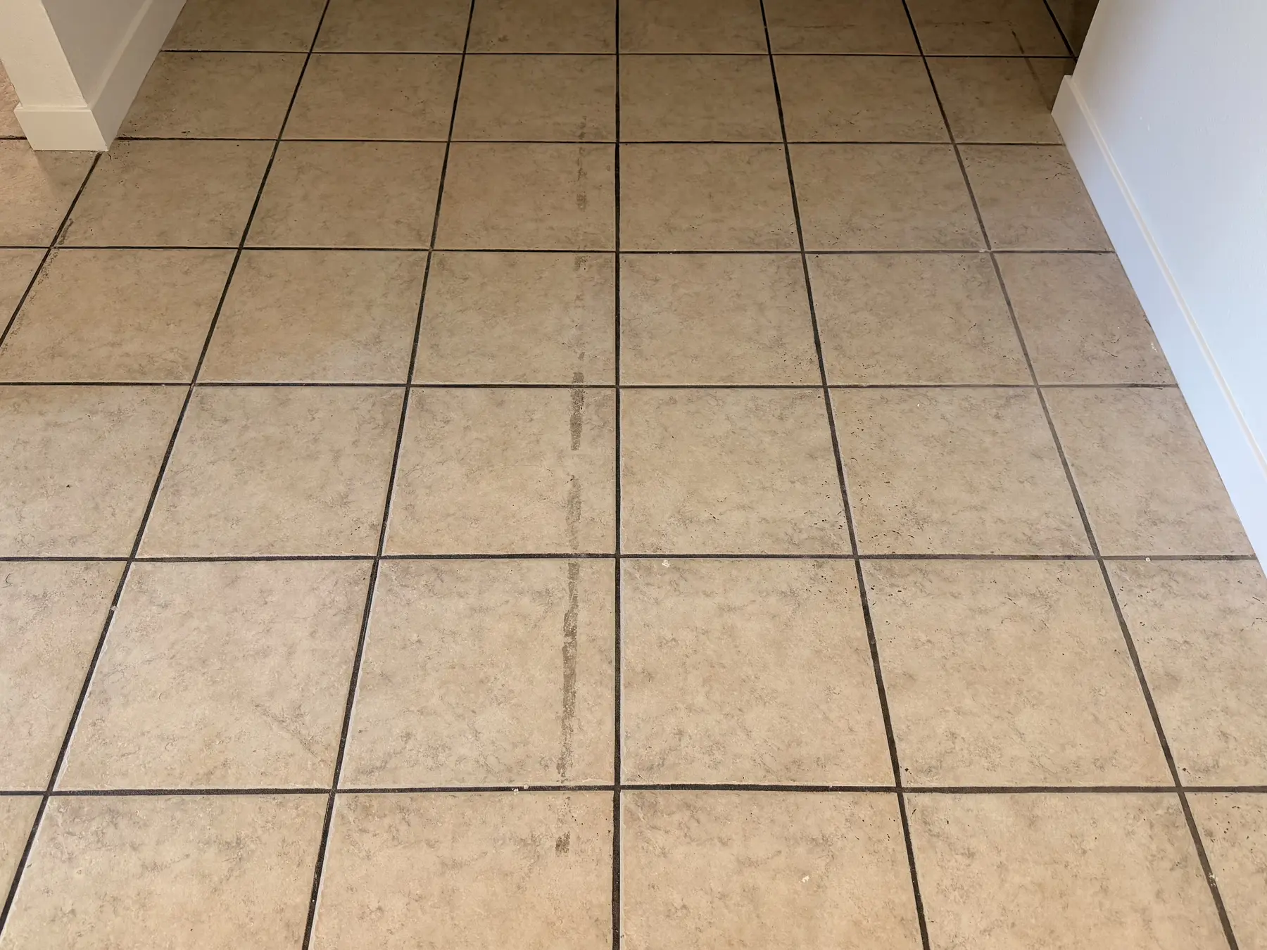 Tile and grout before detailed professional cleaning